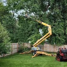 Best Tree Removal  in Lake Telemark, NJ
