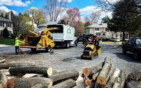 Best Organic Lawn Care Solutions  in Lake Telemark, NJ