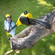 Reliable Lake Telemark, NJ Tree Removal Solutions