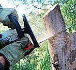 Best Storm Damage Tree Cleanup  in Lake Telemark, NJ