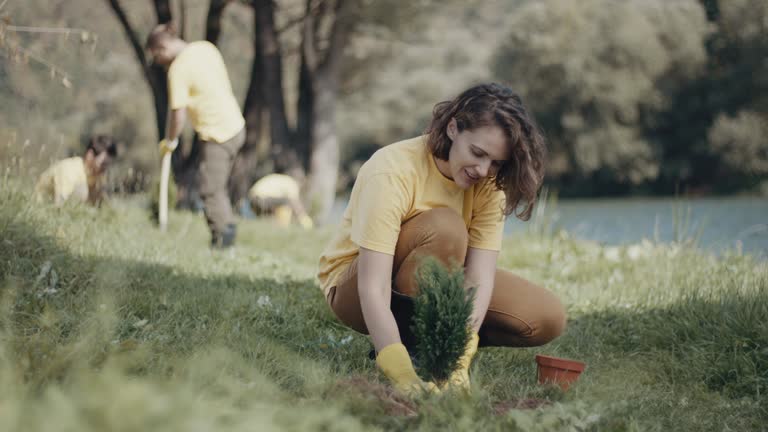 Best Lawn Renovation and Restoration  in Lake Telemark, NJ
