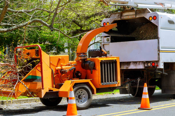 Best Stump Grinding and Removal  in Lake Telemark, NJ