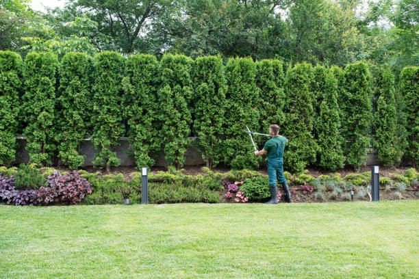 Best Tree Health Inspection  in Lake Telemark, NJ